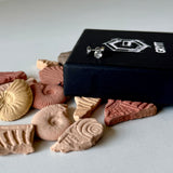 SOLITAIRE STUD - (5MM-SILVER PIERCED)