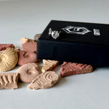 Solitaire Stud (8mm Silver Pierced)