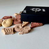 EAR STUD - (MAGNETIC NON-PIERCED)