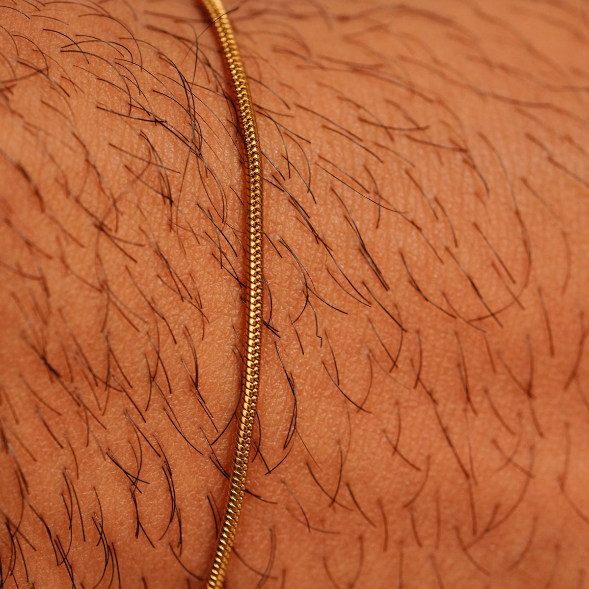 Micro Round Bracelet (Gold)